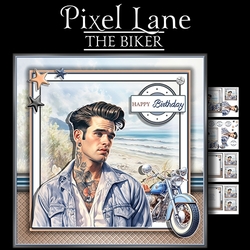 The Biker