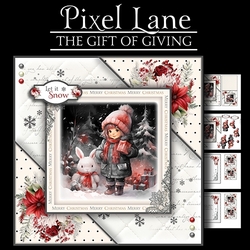 The Gift Of Giving
