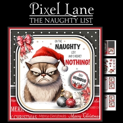 The Naughty List