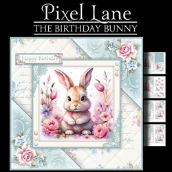 The Birthday Bunny