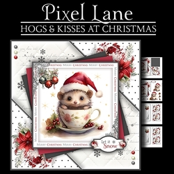 Hogs & Kisses At Christmas