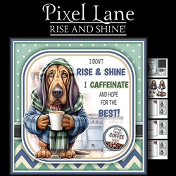 Rise & Shine!