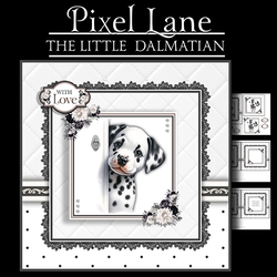 The Little Dalmatian 