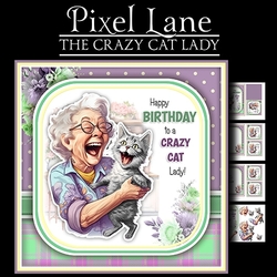 The Crazy Cat Lady