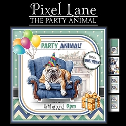 The Party Animal