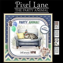 The Party Animal (Cat)