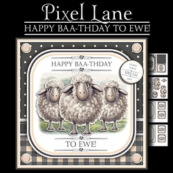 Happy Baa-thday To Ewe!