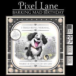 Barking Mad Birthday!