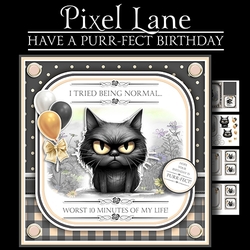 Have A Purr-fect Birthday