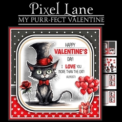 My Purr-fect Valentine!