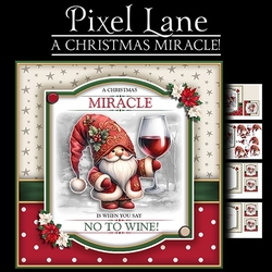 A Christmas Miracle!