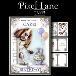 Cake!