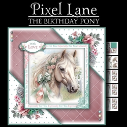 The Birthday Pony