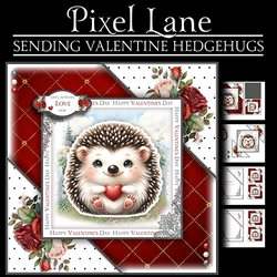 Sending Valentine Hedgehugs