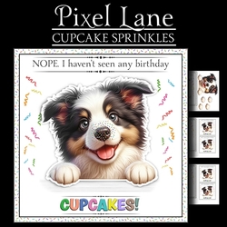 Cupcake Sprinkles (Collie)