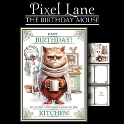 The Birthday Mouse