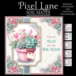 Soil Mates!