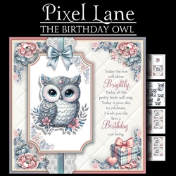 The Birthday Owl