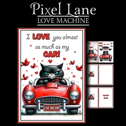 Love Machine