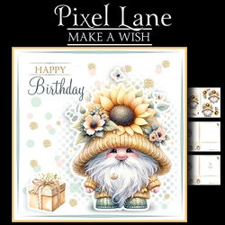 Make A Wish