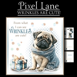 Wrinkles Are Cute! (Male)