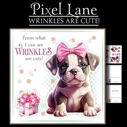 Wrinkles Are Cute! (Female)