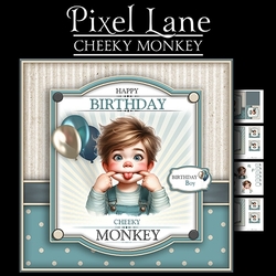 Cheeky Monkey