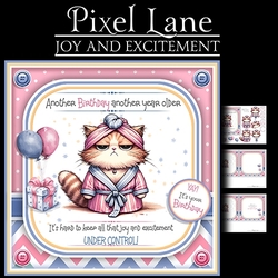 Joy & Excitement (Female)