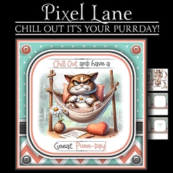 Chill Out! Its Your Birthday