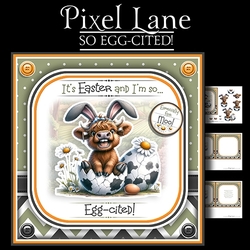 So Egg-cited!