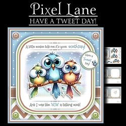 Have A Tweet Day!