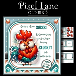 Old Bird