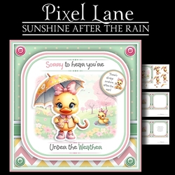 Sunshine After The Rain