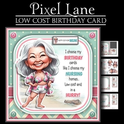 Low Cost Birthday Card (Female)