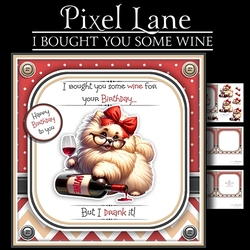 I Bought You Some Wine