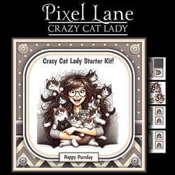 Crazy Cat Lady