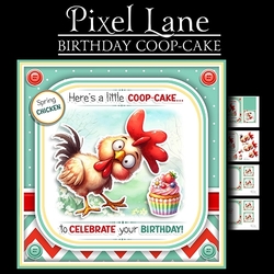 Birthday Coop-Cake!