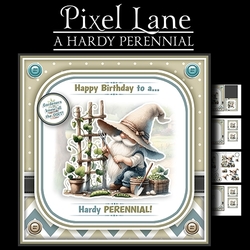 A Hardy Perennial