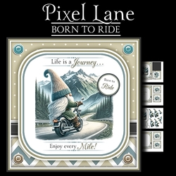 Born To Ride!