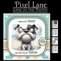 Long In The Tooth!