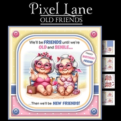 Old Friends