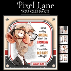 You Old Fart!