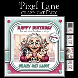 Crazy Cat Lady