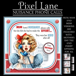 Nuisance Phone Calls!