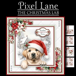 The Christmas Lab