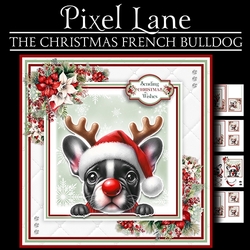 The Christmas French Bulldog