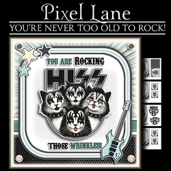 Youre never Too Old To Rock!