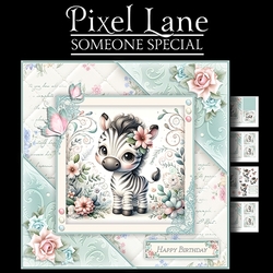 Someone Special