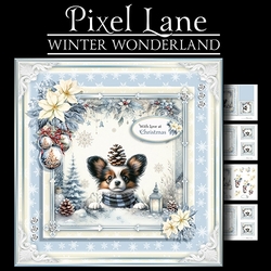 Winter Wonderland