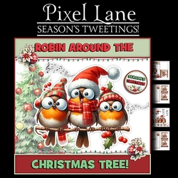 Seasons Tweetings!
